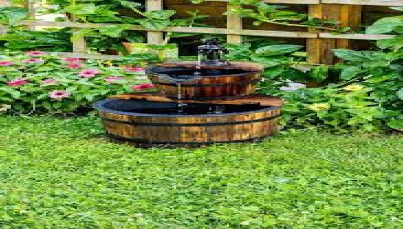 آموزش درست کردن باغچه ی زیرآبی