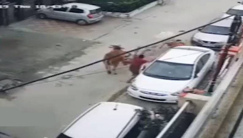 صف کشیدن زنان هندی برای شلاق خوردن