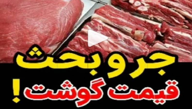 جر و بحث المیرا شریفی مقدم با یک مسئول که سوژه شبکه های اجتماعی شد