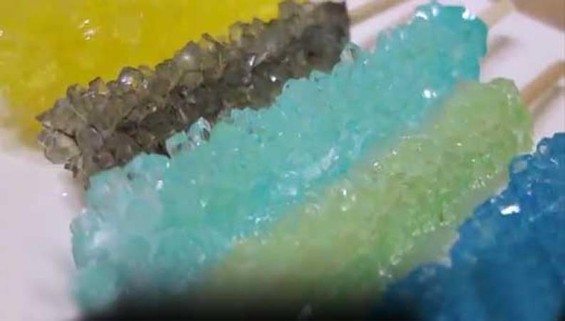 آموزش نبات خانگی