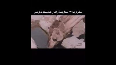تصاویر قدیمی امارات | نمای نایاب شهر العین در سال ۱۹۶۲