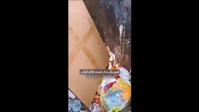 چشم و هم‌چشمی در اینستاگرام | وقتی نمایش عشق جای زندگی واقعی را می‌گیرد