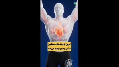 جنگ سلامتی: شناگران یا بدنسازها؟ کدام‌یک واقعاً سالم‌ترند؟
