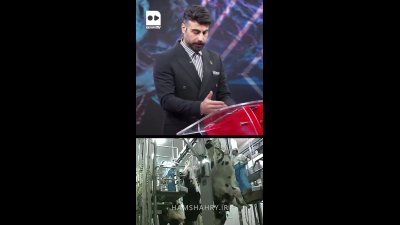 رازهای تاریک بازار گوشت اسب و الاغ؛ از شکار غیرقانونی تا سفر به سفره‌های لوکس