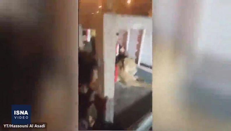 حضور شیر در تظاهرات  مردم عراق