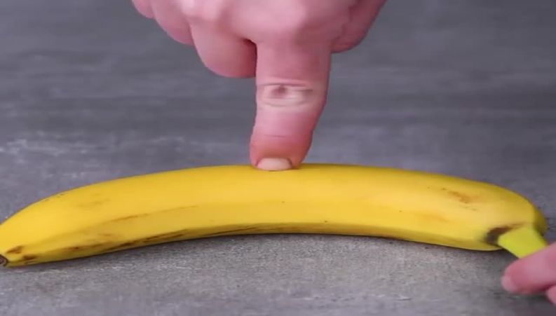 ایده های جالب برای کاشتن و جوانه زدن گیاه در خانه !