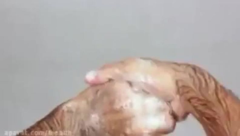 طریقه صحیح شستشوی دست‌ها به توصیه سازمان بهداشت جهانی