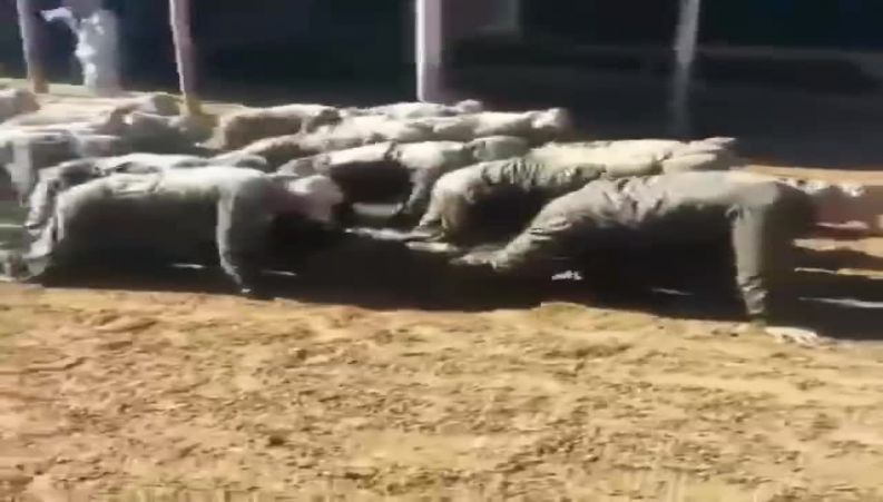 تنبیه جالب برای آن‌ها که قرنطینه را رعایت نمی‌کنند