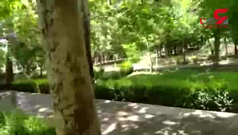 ماجرای طلسم درختان پارک لاله تهران چه بود؟ 