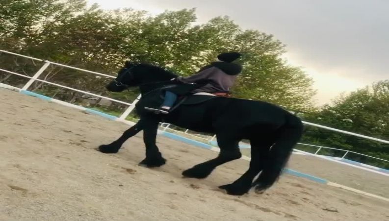 اسب سواری نیکای پایتخت