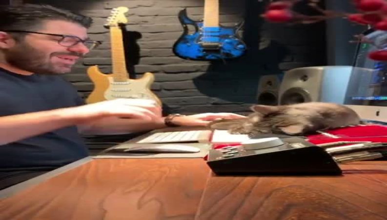 جدال خوانندگی حامد همایون و شیطنت اقا میشو