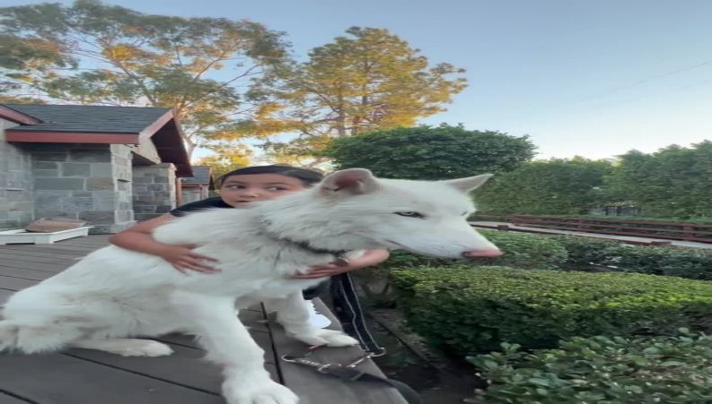 ملینا دختر شادمهر عقیلی با حیوان خانگی ترسناک ولی دوستداشتنی اش