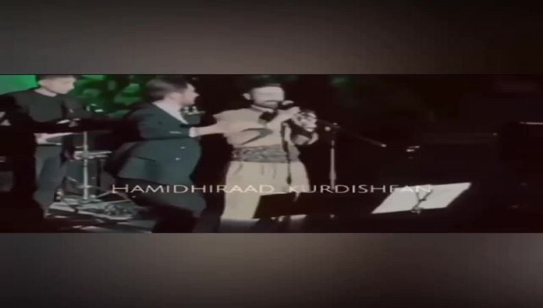 فردی که در کنسرت حمید هیراد روی سن آمد و همه از ترس سکته کردند 