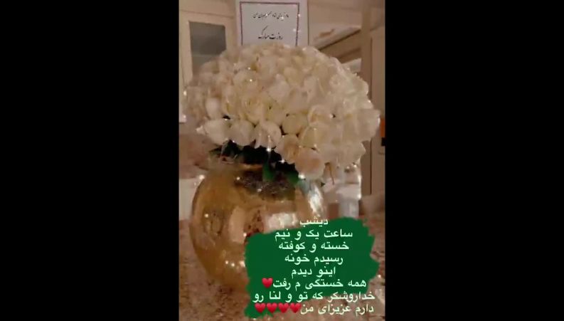 هدیه جالبی که نیوشا ضیغمی از طرف همسر و دخترش دریافت کرد 