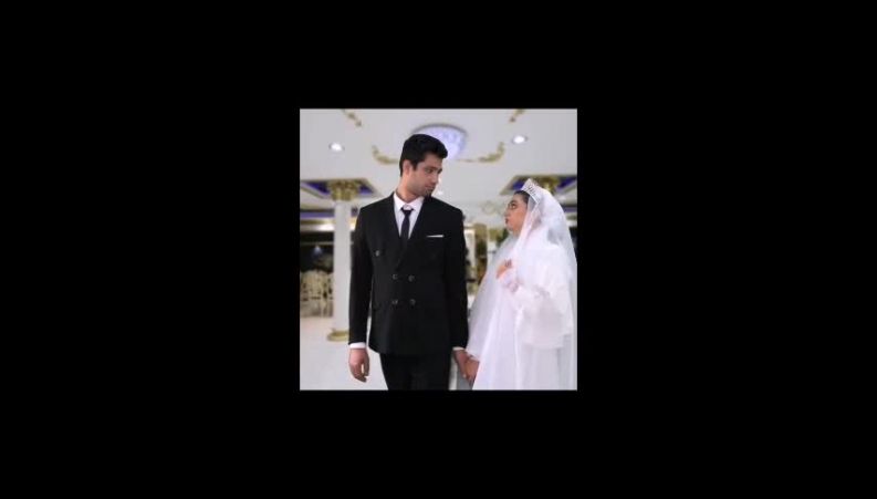کلیپ عروسی سرنا امینی ؛ قسمت های با مزه از این کلیپ پر هیاهو را ببینید