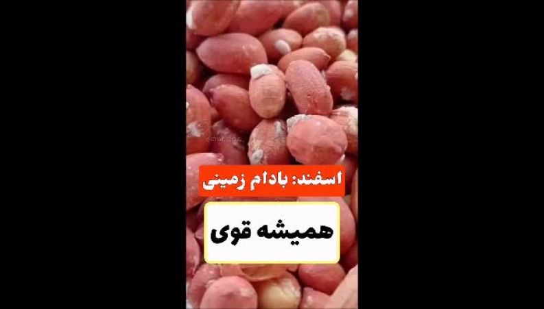 آجیل های ماه تولد شما کدوم هستید ؛ پسته خوشکل و با کلاس یا تخمه کدو نرم و مهربان