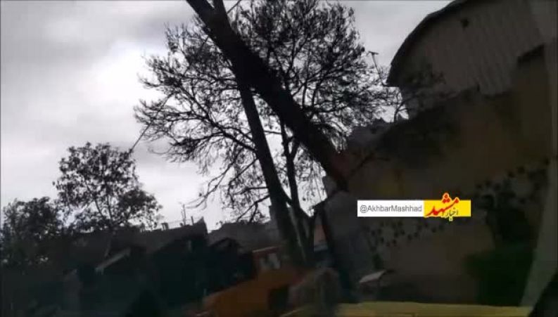 ویدیو وایرال از حرکت تفریحی و خطرناک جوان مشهدی در خیابان که شوکه می شوید