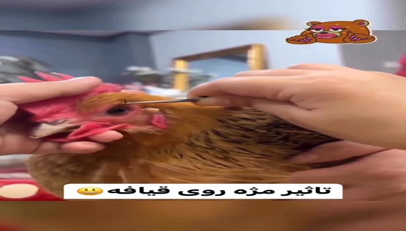 تاثیر مژه رو قیافه! حالا باز ایمان نیارید