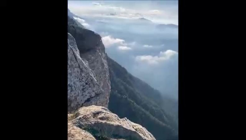 این ویدیو و تصاویر از نیلوفر استخری واقعیه یا کیکه؟ / مگه عکس از این خفن تر دااااریم