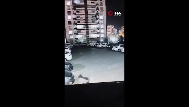 لحظه دلخراش حمله سگ به کودک و مادرش در ترکیه که جهان را شوکه کرد