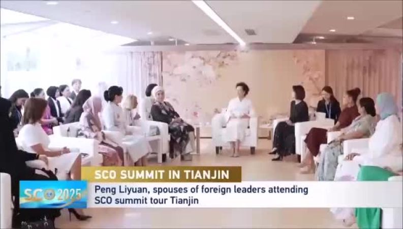 حضور خبرساز زهرا پزشکیان در مهمانی همسر رئیس‌جمهور چین روی کشتی 