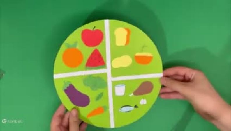  آموزش تغذیه سالم با مقوا و چسب: ساختار کامل و گام به گام کاردستی بشقاب غذایی برای کلاس‌های ابتدایی