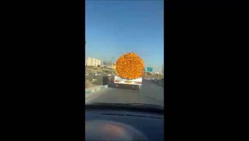  کادوی متفاوت یک هموطن برای روز دختر سوژه شد / از جذابترین هدیه روز دختر در خیابان‌های تهران رونمایی شد