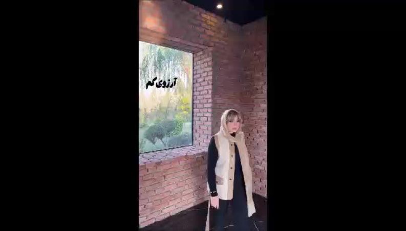 ویدئوی احساسی نیوشا ضیغمی با یک کپشن متفاوت