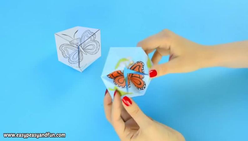 کاردستی چرخه زندگی پروانه